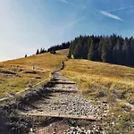 Misiagi - Na Wynajem Domek alpejski *