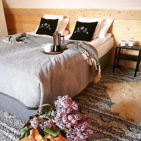 Misiagi Chalet Poronin