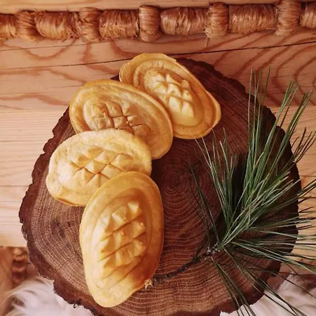 Misiagi Chalet Poronin