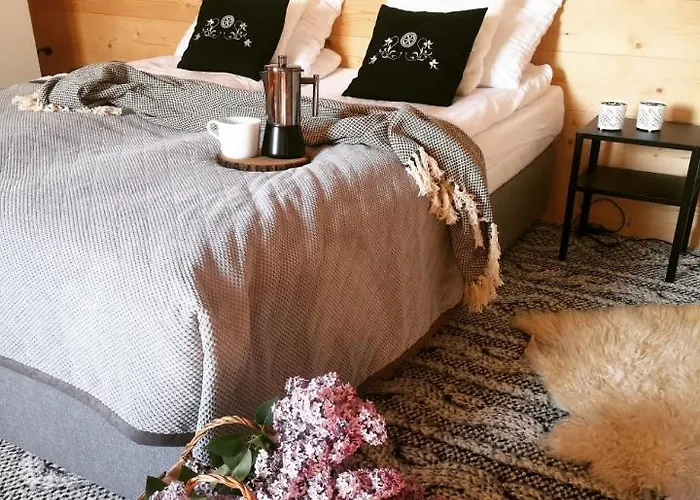 Misiagi Domek alpejski Poronin