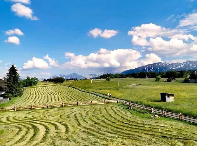 Misiagi Domek alpejski