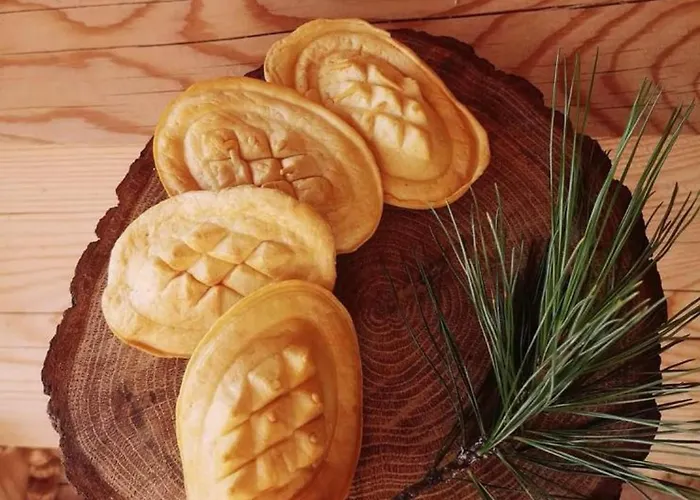 Misiagi Domek alpejski Poronin