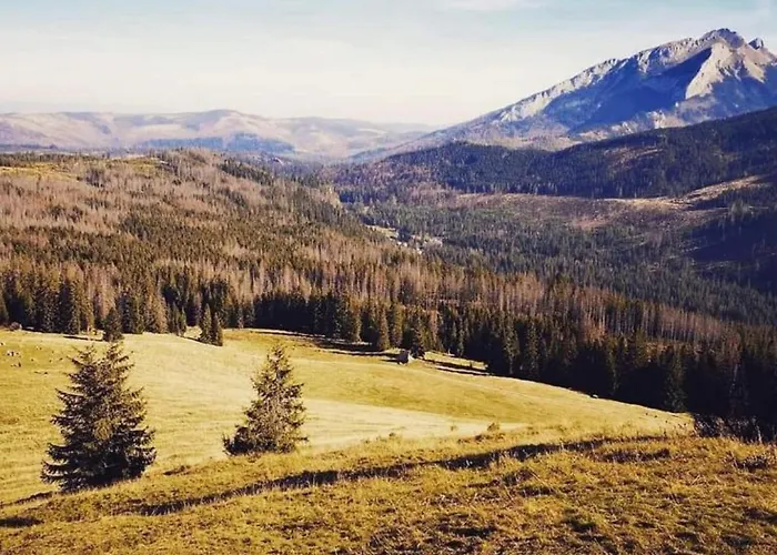 Misiagi Domek alpejski *