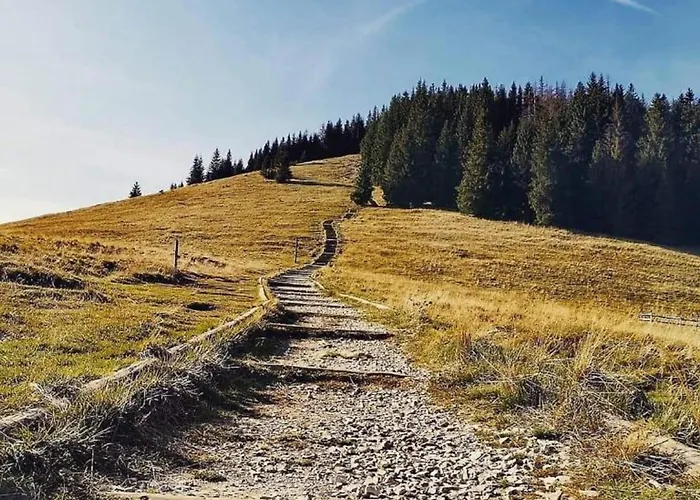 Misiagi Domek alpejski *